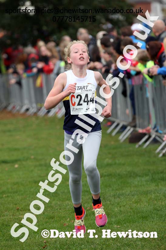 Girls under-11s Northern Cross Country Relays, Graves Park, Sheffield. Photo: David T. Hewitson/Sports for All Pics